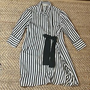 Zara Button Down Stripped Dress in Medium